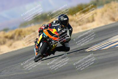 media/Jan-09-2022-SoCal Trackdays (Sun) [[2b1fec8404]]/Turn 16 (11am)/